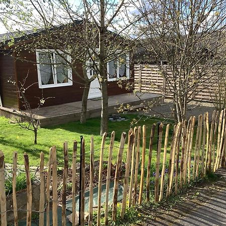 Chalet Charmant Monika Avec Piscine Yvoir Eksteriør bilde